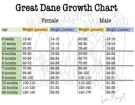 12 week old great dane|great dane growth rate.